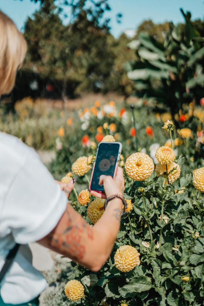 blonde with tattoos taking photos of flowers with iphone