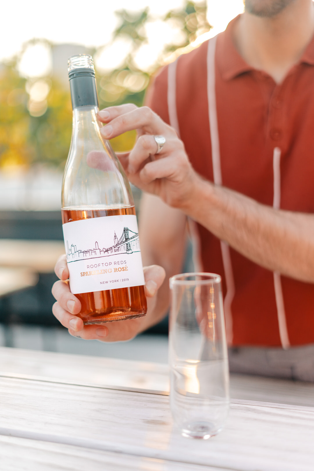 rooftop reds rose on a sunny day in brookyln